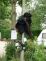scarecrow016.jpg