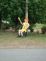 scarecrow021.jpg