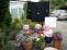 scarecrow036.jpg