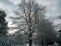 snow008.jpg