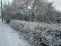 snow009.jpg