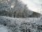 snow010.jpg