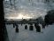 snow026.jpg