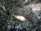 snow042.jpg