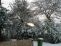 snow018.jpg
