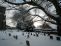 snow028.jpg