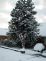 snow031.jpg