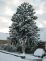 snow032.jpg